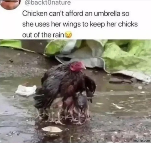 sad cry image | made w/ Imgflip meme maker