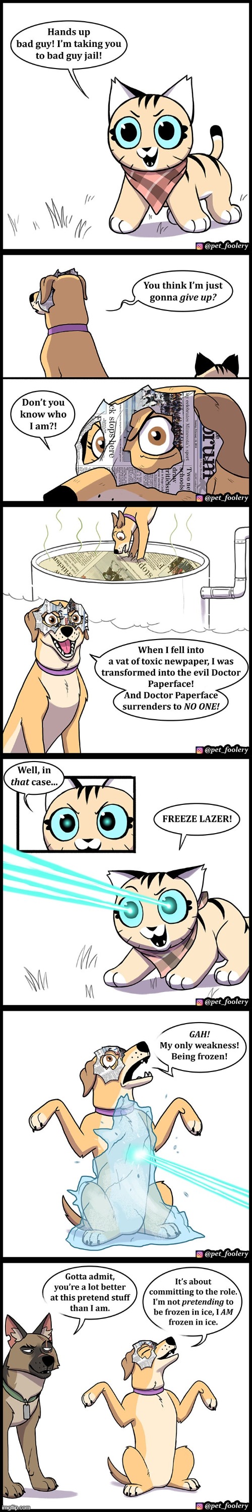 image tagged in cat,dogs,paper,face,villain,pretend | made w/ Imgflip meme maker