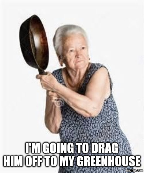 Granny old lady woman iron skillet milf sexy hot | I'M GOING TO DRAG HIM OFF TO MY GREENHOUSE | image tagged in granny old lady woman iron skillet milf sexy hot | made w/ Imgflip meme maker