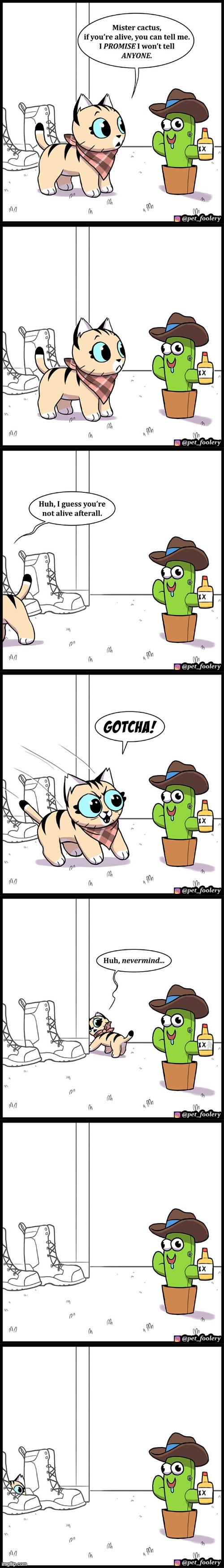 image tagged in cat,toy,cactus,alive,boots,hiding | made w/ Imgflip meme maker
