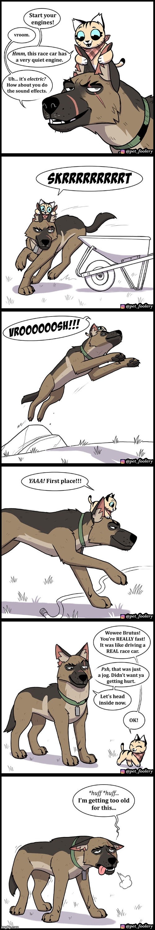 image tagged in cat,dog,racecar,pretend,tired,oof | made w/ Imgflip meme maker