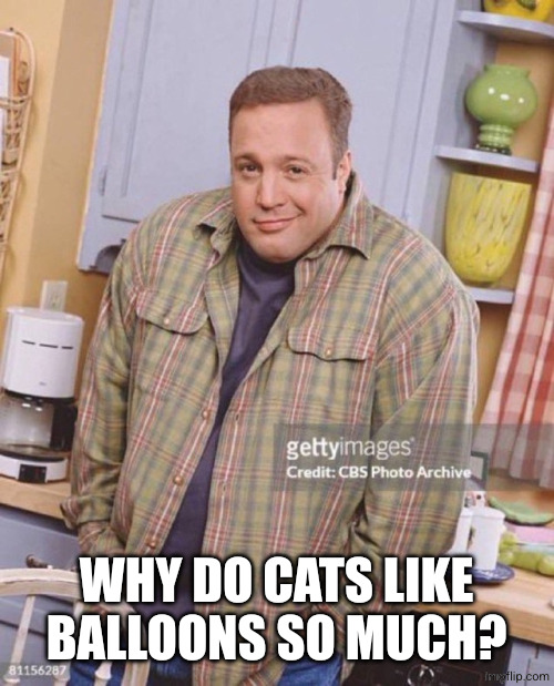 Kevin James | WHY DO CATS LIKE BALLOONS SO MUCH? | image tagged in kevin james | made w/ Imgflip meme maker