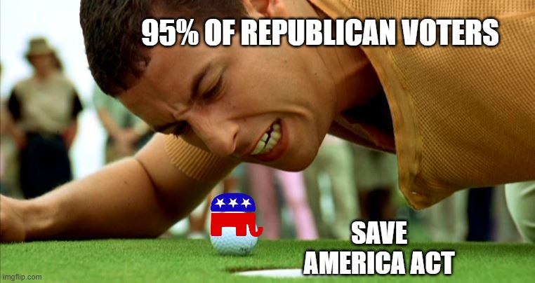 Republican party need to get off their asses and pass the save act,  put the the ball in the hole. | 95% OF REPUBLICAN VOTERS; SAVE AMERICA ACT | image tagged in happy gilmore - go home,republicans,america,election,voting | made w/ Imgflip meme maker