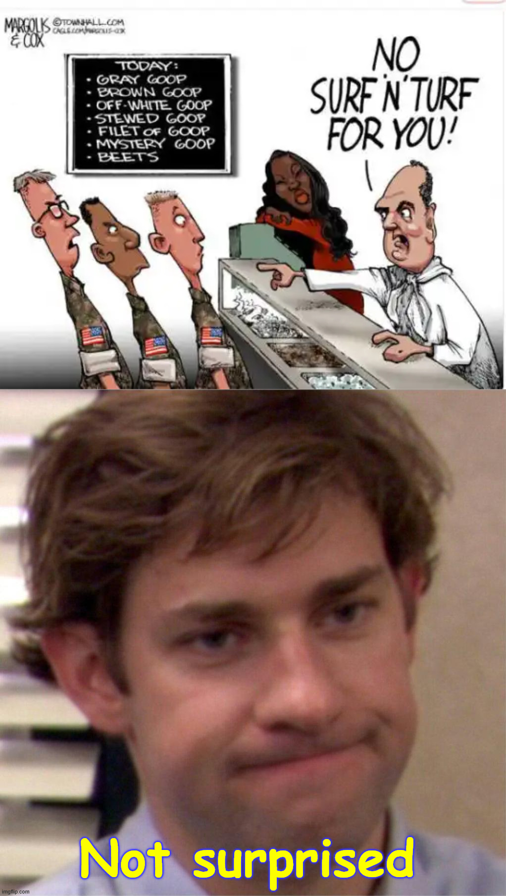 Not surprised | image tagged in not surprised face | made w/ Imgflip meme maker