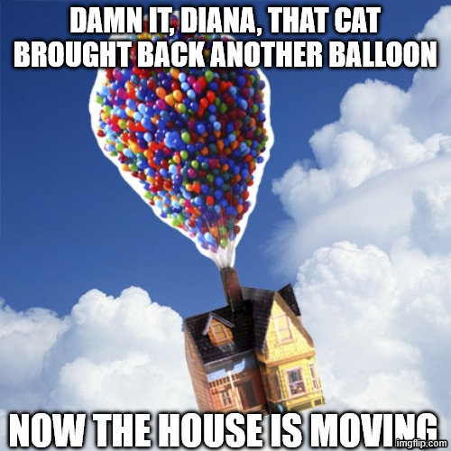 Balloons | DAMN IT, DIANA, THAT CAT BROUGHT BACK ANOTHER BALLOON NOW THE HOUSE IS MOVING | image tagged in balloons | made w/ Imgflip meme maker