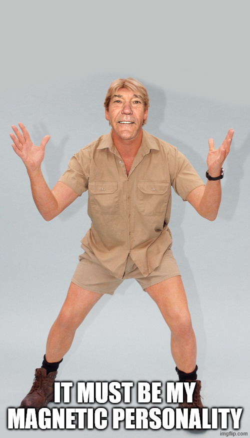 kewlew | IT MUST BE MY MAGNETIC PERSONALITY | image tagged in kewlew | made w/ Imgflip meme maker