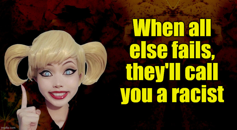 When all else fails, they'll call you a racist | made w/ Imgflip meme maker