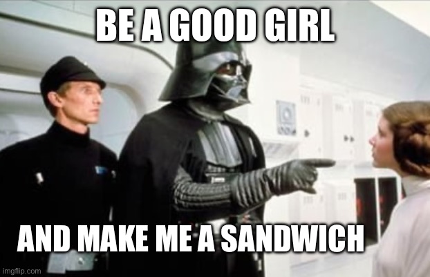 BE A GOOD GIRL; AND MAKE ME A SANDWICH | image tagged in sandwich,memes | made w/ Imgflip meme maker