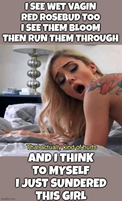 Tear it up daddy | I SEE WET VAGIN
RED ROSEBUD TOO
I SEE THEM BLOOM
THEN RUN THEM THROUGH; AND I THINK
TO MYSELF
I JUST SUNDERED
THIS GIRL | image tagged in that actually kind of hurts | made w/ Imgflip meme maker