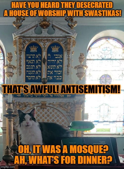 This #lolcat wonders why hoo-mens apply double standards | HAVE YOU HEARD THEY DESECRATED
 A HOUSE OF WORSHIP WITH SWASTIKAS! THAT'S AWFUL! ANTISEMITISM! OH, IT WAS A MOSQUE? AH, WHAT'S FOR DINNER? | image tagged in double standards,stupid people,islamophobia,zionism,lolcat | made w/ Imgflip meme maker