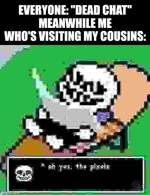 Bruh | EVERYONE: ''DEAD CHAT''
MEANWHILE ME WHO'S VISITING MY COUSINS: | image tagged in sans ah yes the pixels,bruh,yuuka chan is here | made w/ Imgflip meme maker