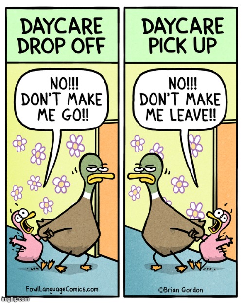 Fowl Language | image tagged in comics | made w/ Imgflip meme maker