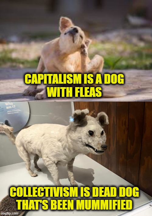Bury it.  It's starting to smell. | CAPITALISM IS A DOG
WITH FLEAS; COLLECTIVISM IS DEAD DOG
THAT'S BEEN MUMMIFIED | image tagged in communism | made w/ Imgflip meme maker