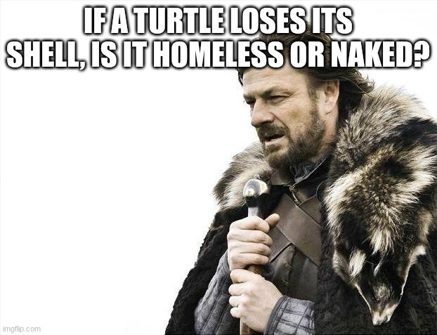 "Brain is Loading" | IF A TURTLE LOSES ITS SHELL, IS IT HOMELESS OR NAKED? | image tagged in memes,brace yourselves x is coming | made w/ Imgflip meme maker