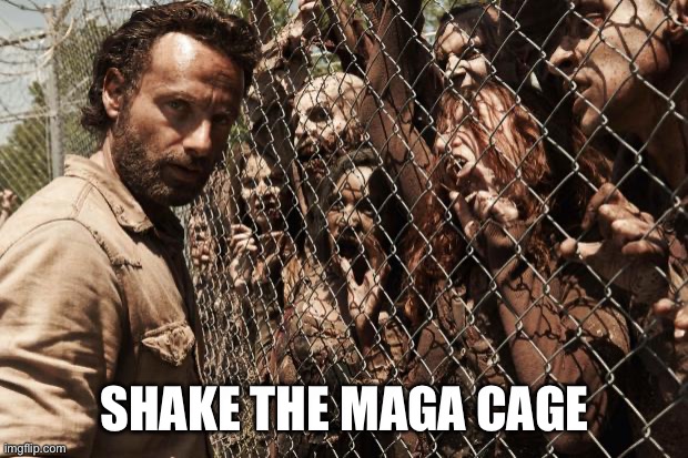 zombies | SHAKE THE MAGA CAGE | image tagged in zombies | made w/ Imgflip meme maker