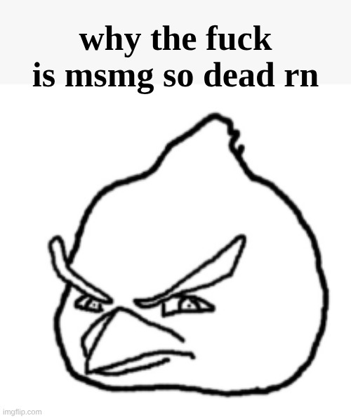 god I want someone to rail me... man it sure is windy outside... | why the fuck is msmg so dead rn | image tagged in unrealistic angry bird | made w/ Imgflip meme maker