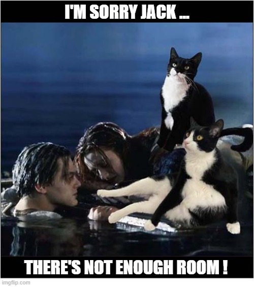 If There Were Cats On The Titanic | I'M SORRY JACK ... THERE'S NOT ENOUGH ROOM ! | image tagged in cats,titanic,no room | made w/ Imgflip meme maker