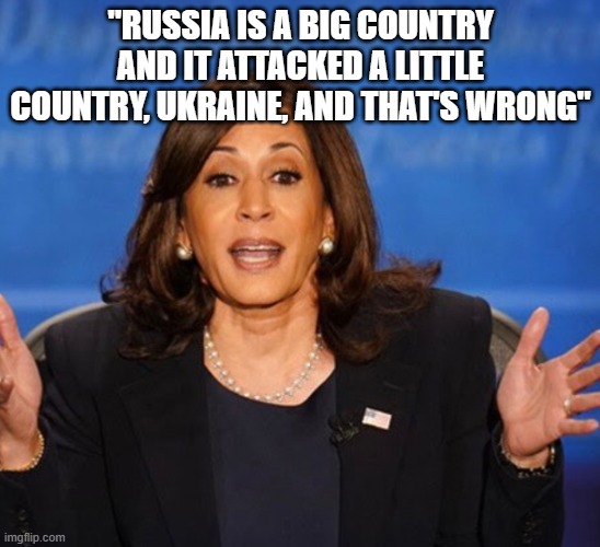 Kamala Harris | "RUSSIA IS A BIG COUNTRY AND IT ATTACKED A LITTLE COUNTRY, UKRAINE, AND THAT'S WRONG" | image tagged in kamala harris | made w/ Imgflip meme maker