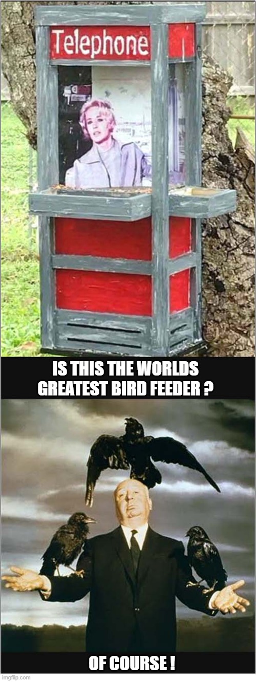 If You Know, You Know ... | IS THIS THE WORLDS GREATEST BIRD FEEDER ? OF COURSE ! | image tagged in if you know you know,bird feeder | made w/ Imgflip meme maker