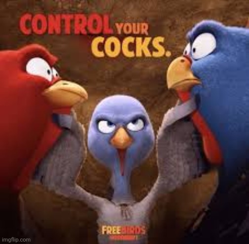 Control your Cocks Free birds | image tagged in control your cocks free birds | made w/ Imgflip meme maker