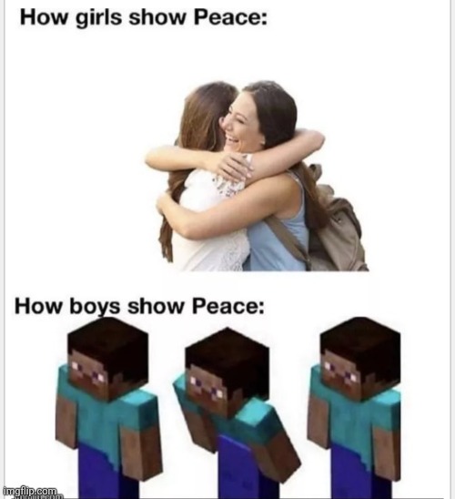 image tagged in minecraft,boys,gaming,peace,repost,cooi | made w/ Imgflip meme maker