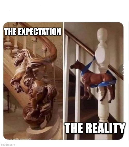Its always looks cooler in your head | THE EXPECTATION; THE REALITY | image tagged in horse staircase,expectation vs reality,funny,memes,idk what to put here | made w/ Imgflip meme maker