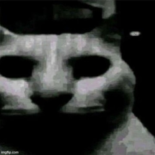 uncanny cat | image tagged in uncanny cat | made w/ Imgflip meme maker