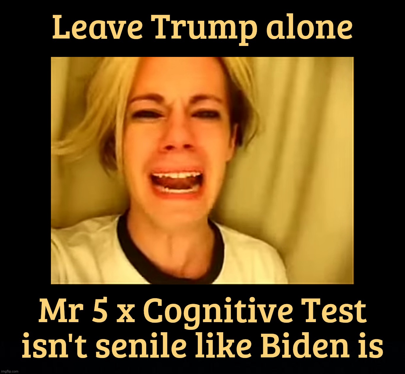It takes a special kind of stupid to like this kind of stupid | Leave Trump alone; Mr 5 x Cognitive Test isn't senile like Biden is | image tagged in leave britney alone,leave trump alone,mr cognitive test,passed it five times,trump isn't senile like biden,that's called sarcasm | made w/ Imgflip meme maker
