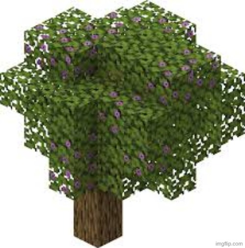 lush cave here | made w/ Imgflip meme maker