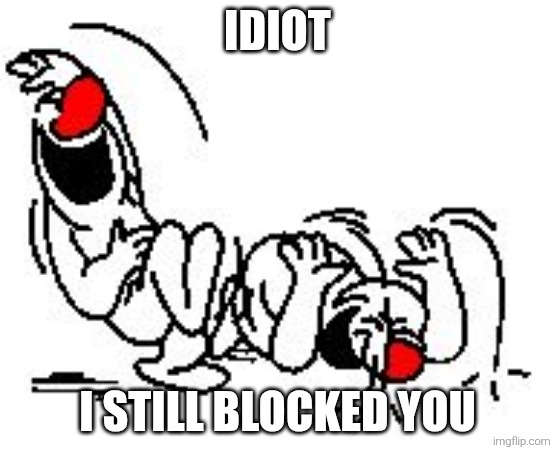 LOL Hysterically | IDIOT I STILL BLOCKED YOU | image tagged in lol hysterically | made w/ Imgflip meme maker