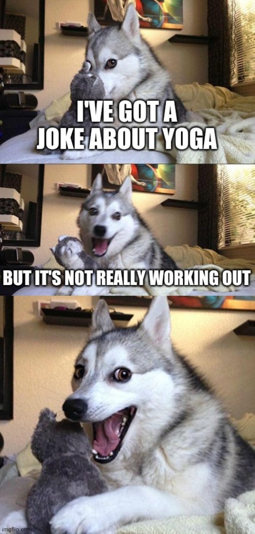 image tagged in memes,puns,repost,cooi,yoga,working out | made w/ Imgflip meme maker