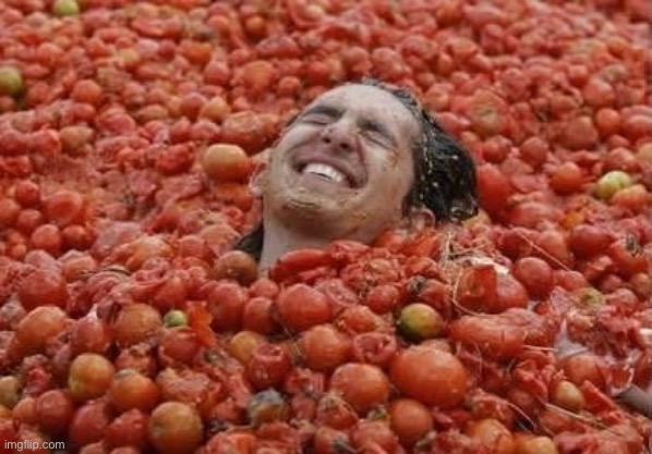 Tomato guy | image tagged in tomato guy | made w/ Imgflip meme maker