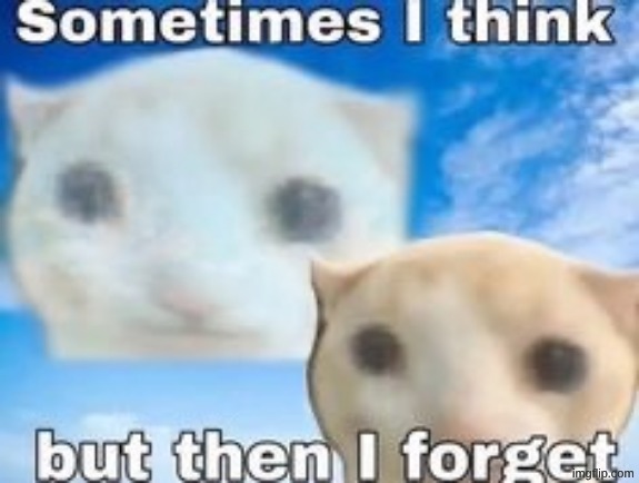 sometimes i think but then i forget | image tagged in sometimes i think but then i forget | made w/ Imgflip meme maker