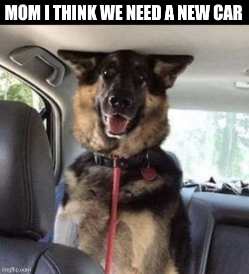 Mom I Think We Need A New Car | MOM I THINK WE NEED A NEW CAR | image tagged in chrisjoines1 | made w/ Imgflip meme maker