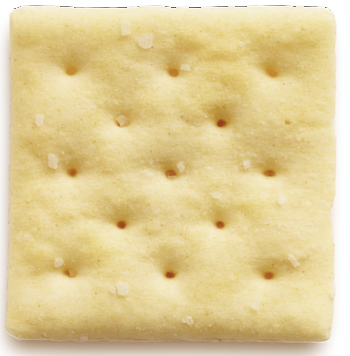 Cracker Blank Meme Template