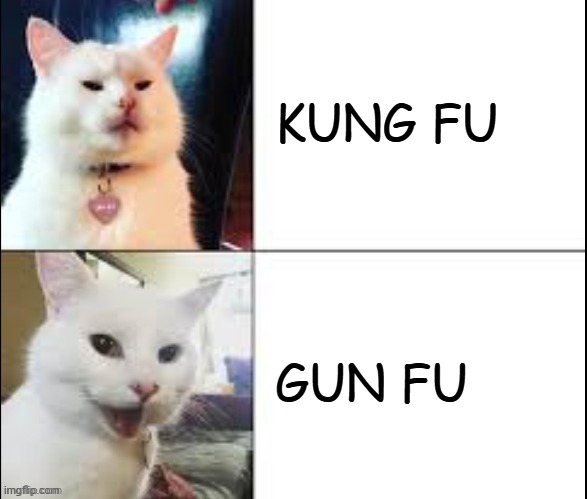 Hotline Bling Cat | KUNG FU GUN FU | image tagged in hotline bling cat | made w/ Imgflip meme maker