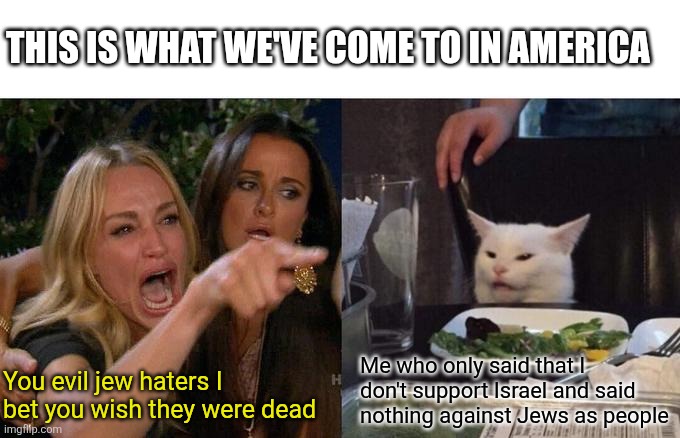 Uh what did I do? | THIS IS WHAT WE'VE COME TO IN AMERICA; Me who only said that I don't support Israel and said nothing against Jews as people; You evil jew haters I bet you wish they were dead | image tagged in memes,woman yelling at cat | made w/ Imgflip meme maker