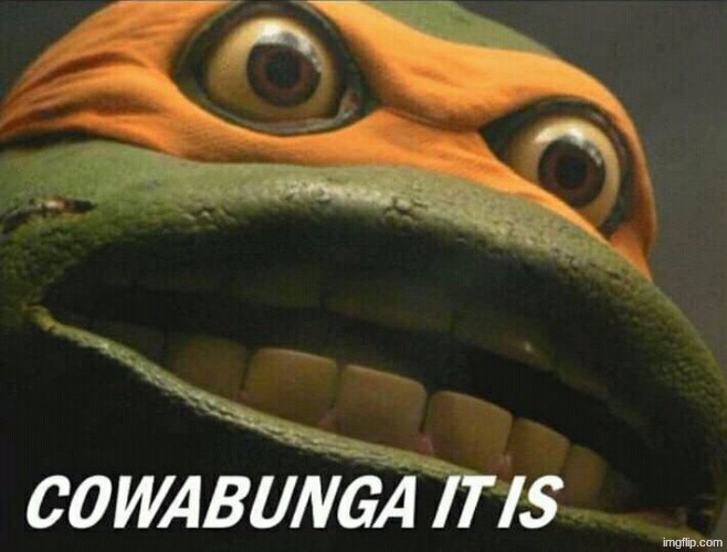 Cowabunga it is | image tagged in cowabunga it is | made w/ Imgflip meme maker