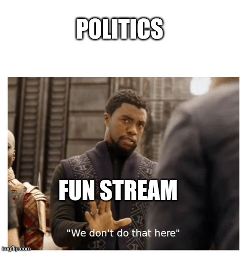 No | POLITICS; FUN STREAM | image tagged in we don't do that here | made w/ Imgflip meme maker