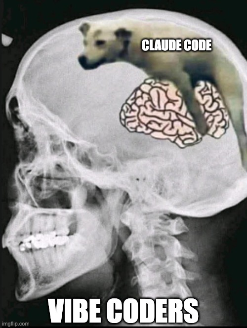 vibe coding | CLAUDE CODE; VIBE CODERS | image tagged in funny,artificial intelligence,ai,programming | made w/ Imgflip meme maker