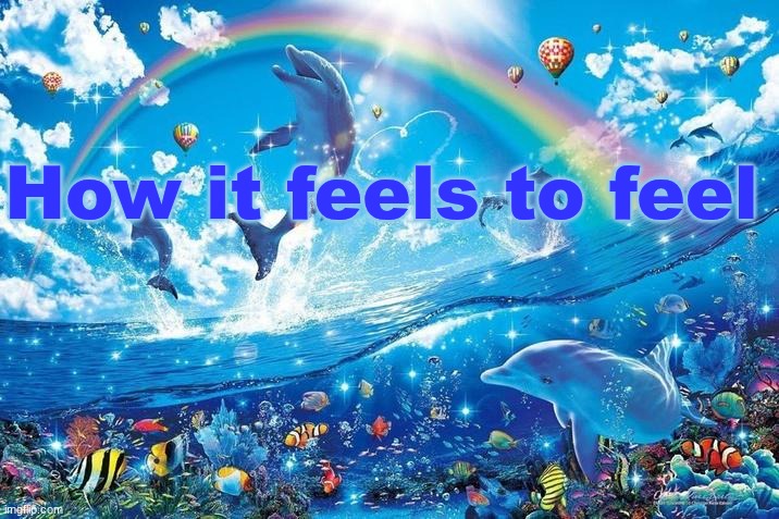 E | How it feels to feel | image tagged in happy dolphin rainbow | made w/ Imgflip meme maker