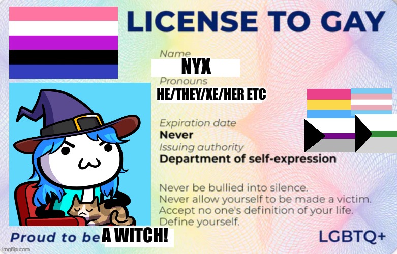 It's me! | NYX; HE/THEY/XE/HER ETC; A WITCH! | image tagged in license to gay | made w/ Imgflip meme maker