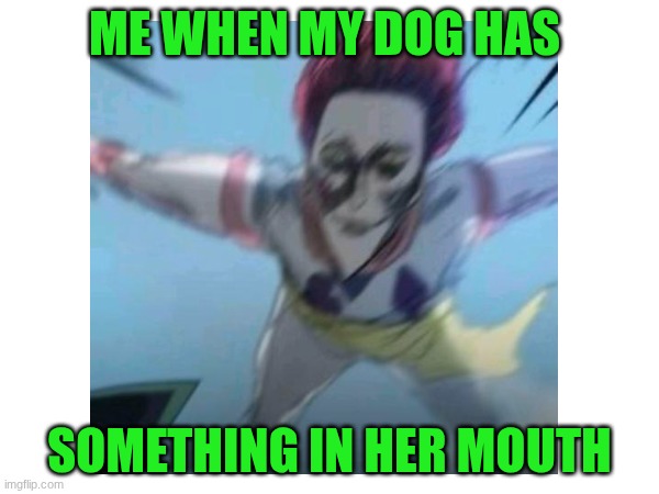 Hisoka meme | ME WHEN MY DOG HAS; SOMETHING IN HER MOUTH | image tagged in memes | made w/ Imgflip meme maker