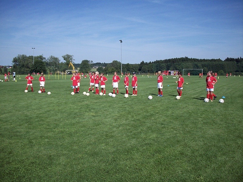 Ball Grass Mirror Image Mode Blank Meme Template