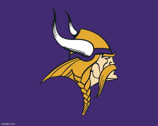 Minnesota Vikings | image tagged in minnesota vikings | made w/ Imgflip meme maker