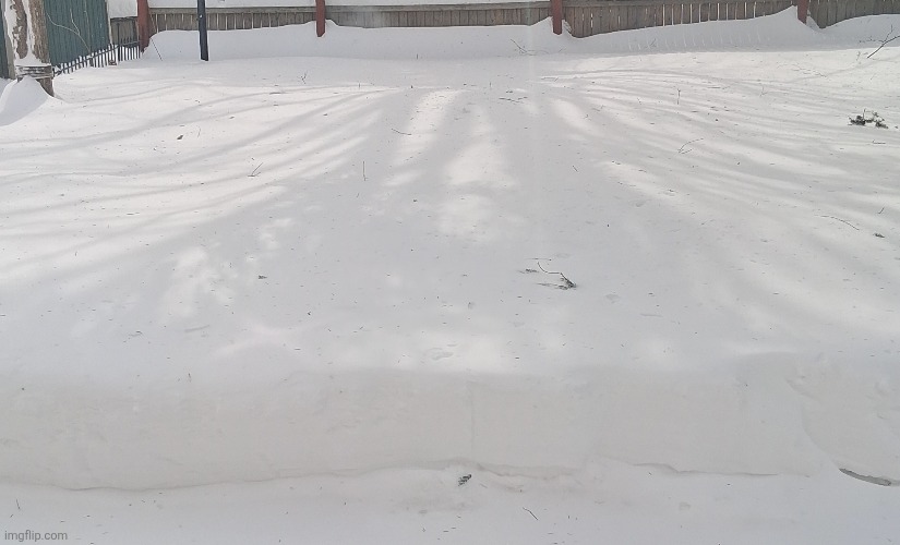 Spring was right around the corner. That dumbass woodchuck is a chud | made w/ Imgflip meme maker