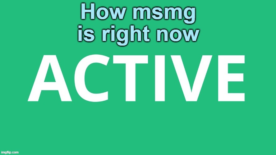 Msmg is very active | image tagged in msmg is very active | made w/ Imgflip meme maker