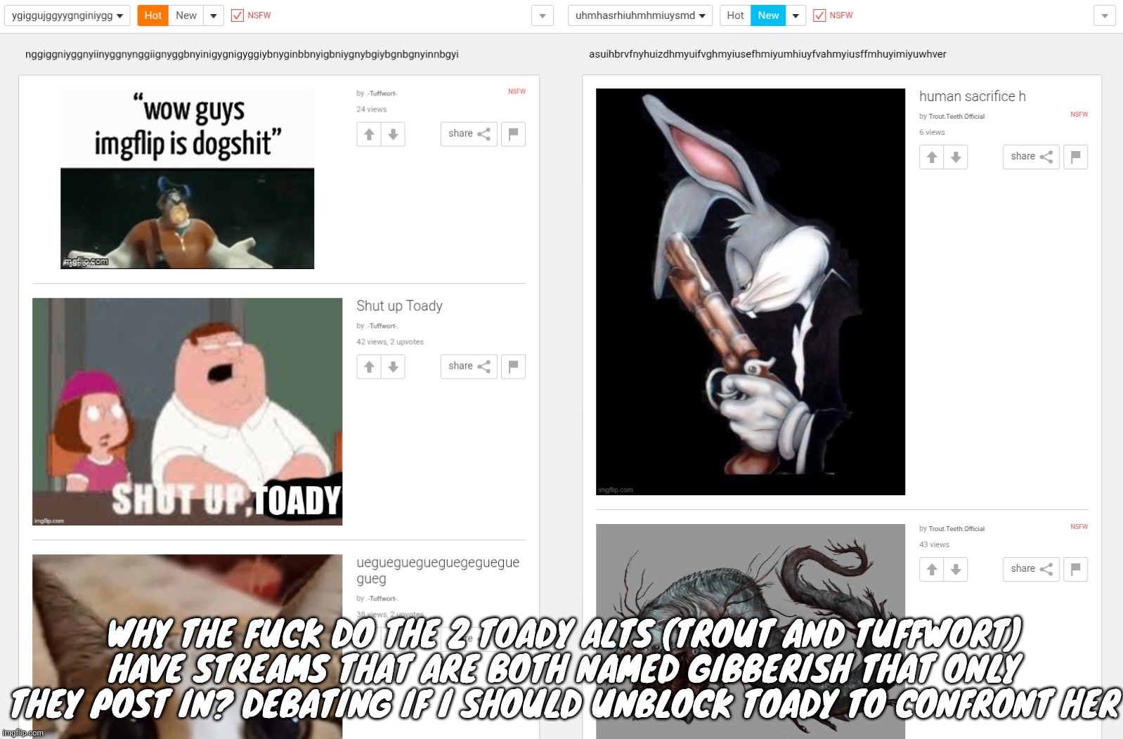 WHY THE FUCK DO THE 2 TOADY ALTS (TROUT AND TUFFWORT) HAVE STREAMS THAT ARE BOTH NAMED GIBBERISH THAT ONLY THEY POST IN? DEBATING IF I SHOULD UNBLOCK TOADY TO CONFRONT HER | made w/ Imgflip meme maker