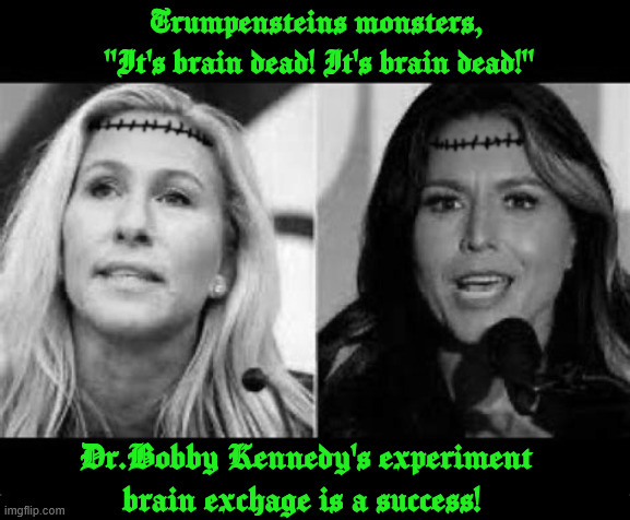 It's brain dead, It's brain dead | Trumpensteins monsters,  "It's brain dead! It's brain dead!"; Dr.Bobby Kennedy's experiment brain exchage is a success! | image tagged in it's brain dead it's brain dead,trunpenstein's monsters,tulsi gabbard,mtg,brain trasfer | made w/ Imgflip meme maker