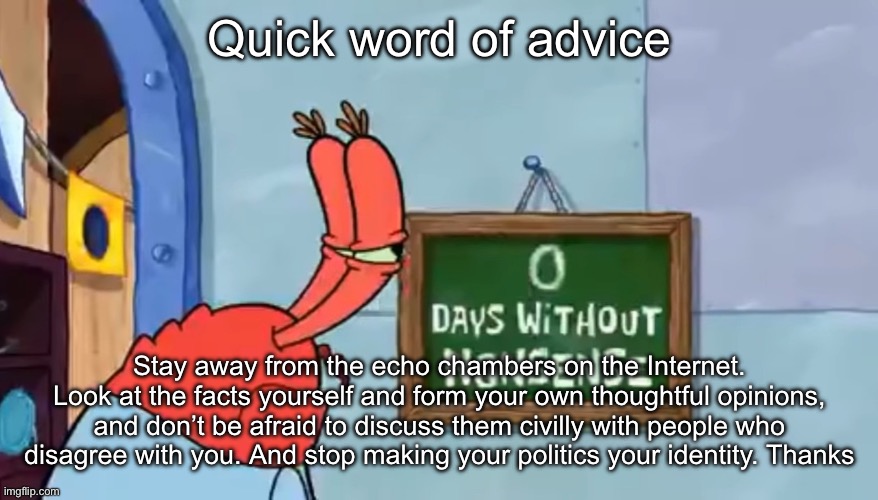 0 Days without nonsense | Quick word of advice; Stay away from the echo chambers on the Internet. Look at the facts yourself and form your own thoughtful opinions, and don’t be afraid to discuss them civilly with people who disagree with you. And stop making your politics your identity. Thanks | image tagged in 0 days without nonsense | made w/ Imgflip meme maker